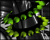 Toxicity Spikes F