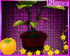 RNB Potted Plant