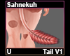 Sahnekuh Tail V1