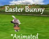 [BD] Easter Bunny