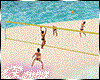 Beach Volleyball Animate