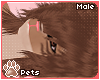 [Pets] Nena | hair v1
