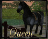!Q Native Black Horse