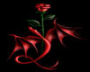 Red Rose and Dragon Club