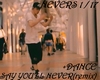 SAY YOU'LL NEVERS+DANCE