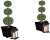 Tree-Lantern Entry Decor