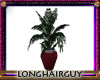 med red potted plant