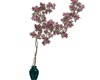 Climbing Plant