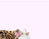 § cutie leopard🐆🎀