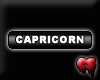 [CS] Capricorn -sticker