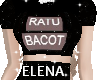 EL RATU BACOT