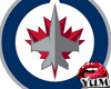 /Y/Double NHL Logos 2