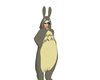 totoro suit male