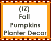Pumpkins Planter Decor