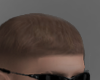 Real Fade Ginger
