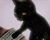 ♕ Black Kitty Animated