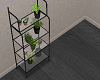 [SM] Plants Rack
