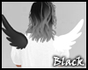 BLACK white wings M