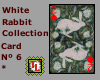 white rabbit card nº 6