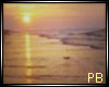(PB)Sunset Ocean Picture