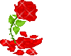 [ARG] Rose Red