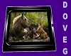 G's Moose PIcture 3