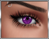 T* Purple Eyes M / F