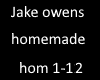 Jake owens homemade