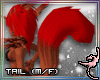 (IR)FeraL Fur:Tail1(F/M)
