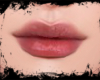 I. ZELL -  LIPGLOSS V2