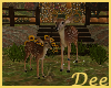 Fall Deer & Flowers