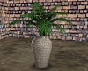 Plant with Vase