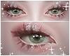 ✧ plume Lash