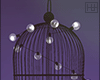 ♦ Cage