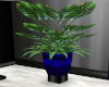 Blue Black Planter