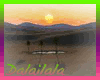 ! Desert+Sounds