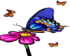 Butterflies w/ a Flower