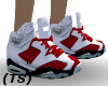 (TS) WRB Jordan Shoes
