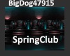 [BD]SpringClub