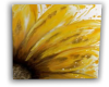 Mustard SunFlower Canvas