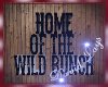[DL] Wild Bunch