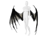 A| Dark Demon Wings