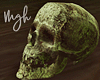 M. Old skull