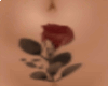 *CA* Rose tattoo skin
