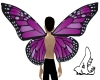 MonShark Purple Wings