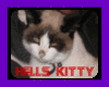 ~DR~Hell's Kitty