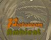 TH|Photoroom_Ambient