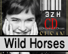 Susan Boyle -Wild Horses
