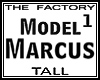 TF Model Marcus1 Tall