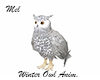 Winter Owl Animated